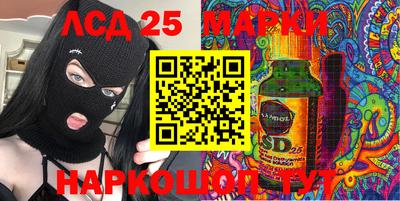 стафф Шелехов