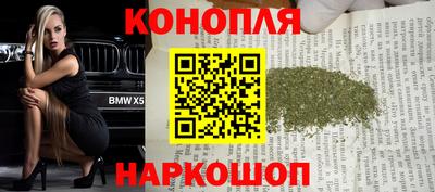 стафф Шелехов