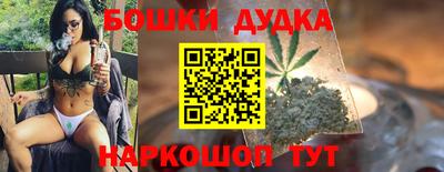 стафф Шелехов