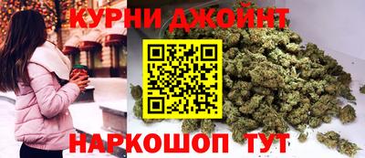 стафф Шелехов