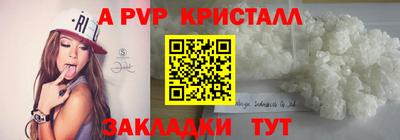 стафф Шелехов