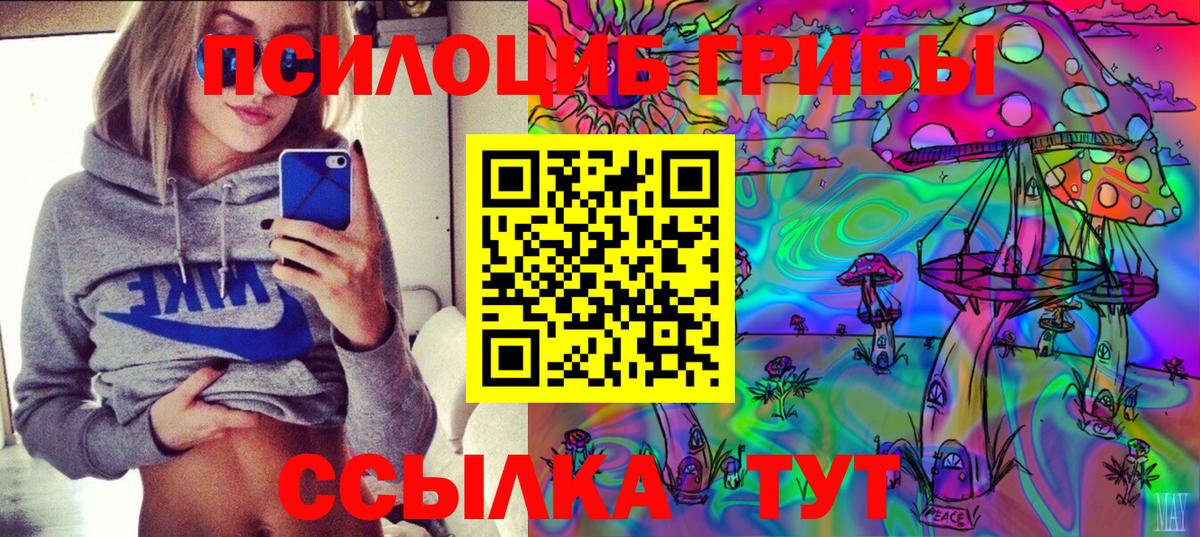 Псилоцибиновые грибы Psilocybe Десногорск